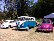 Beetle Show Rioz (5)